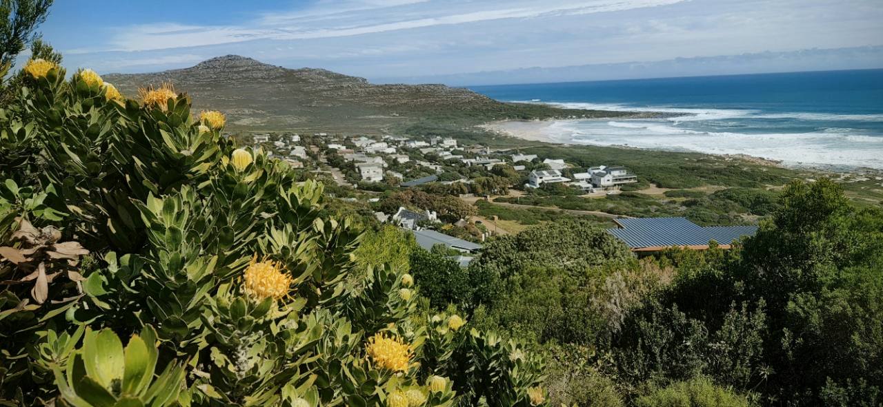 Coastal homes, fynbos and ocean viewed from a hillside.
